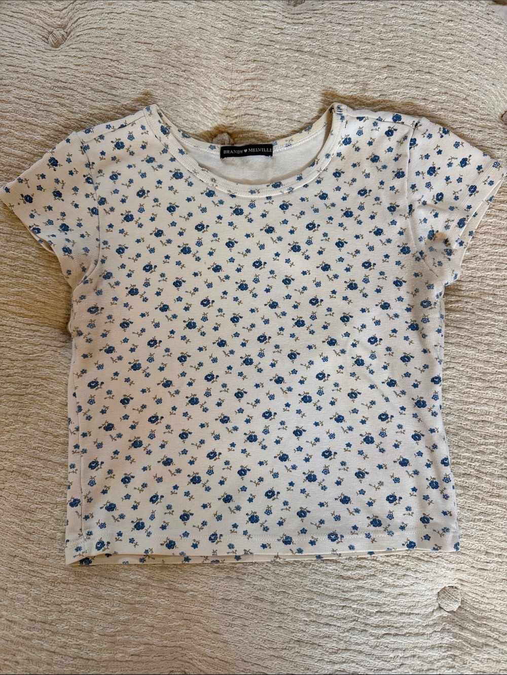 Brandy Melville Cream Crop Tee with Small Blue Floral Print